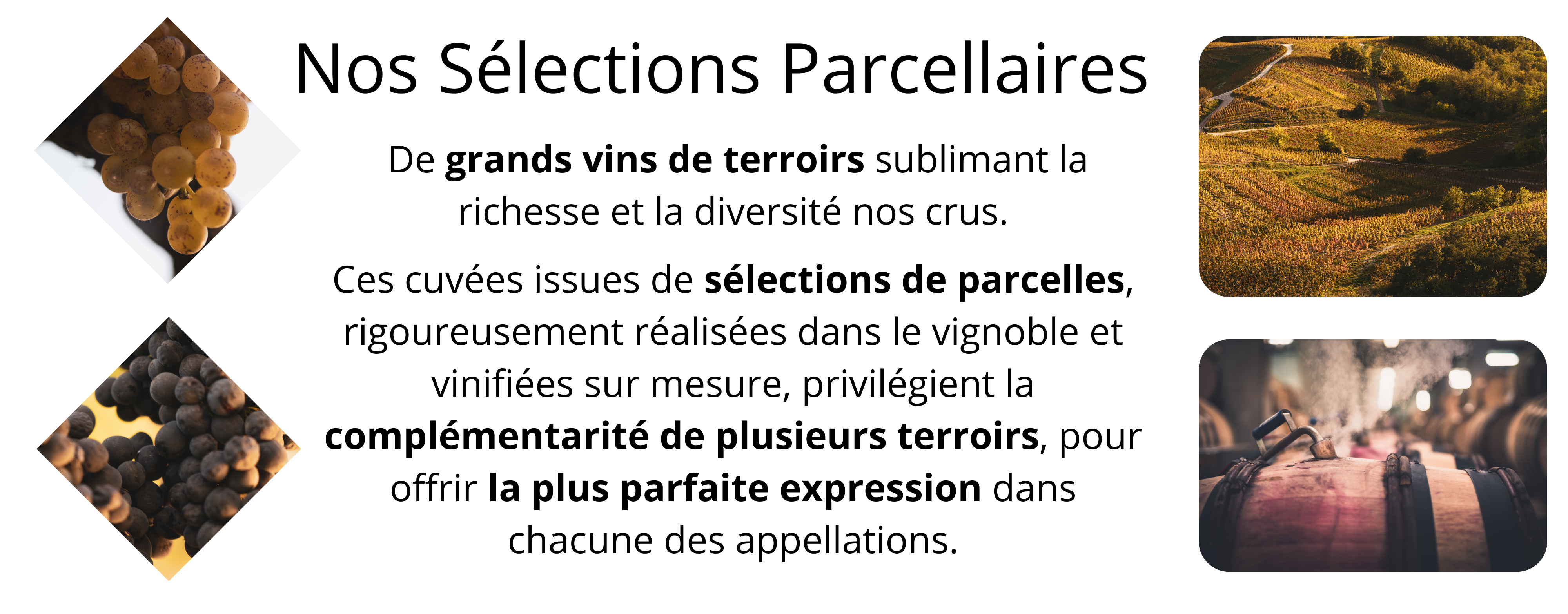 Sélections Parcellaires